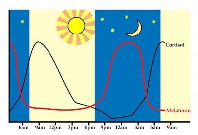 sunlight and circadian rhythm