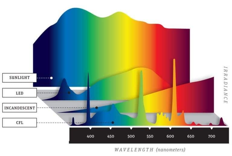 light spectrum of various light sources